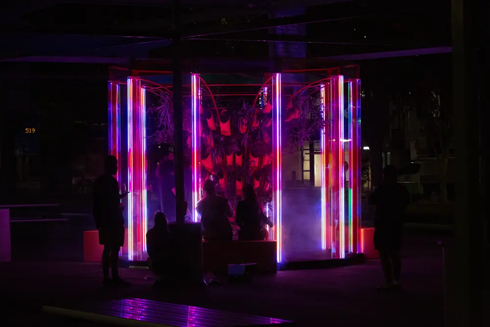 Light columns of BioRhythm glowing magenta and violet in the dark