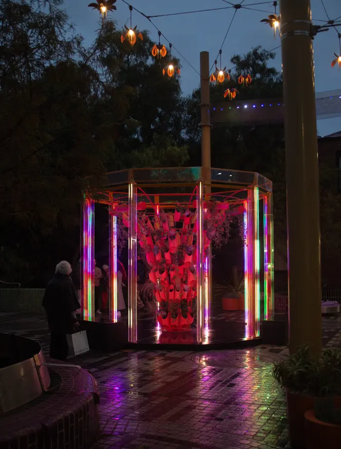 BioRhythm lit pink and red at night beneath festoon lights