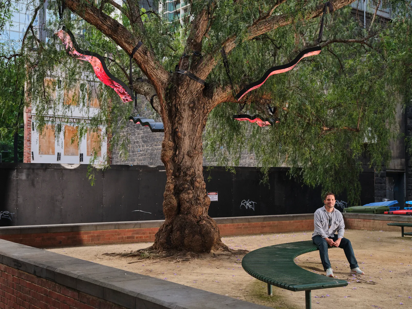 Chris Nichols seated beneath the peppercorn tree in Merritts Place Reserve, wrapped in the pink LED forms of memory_feed