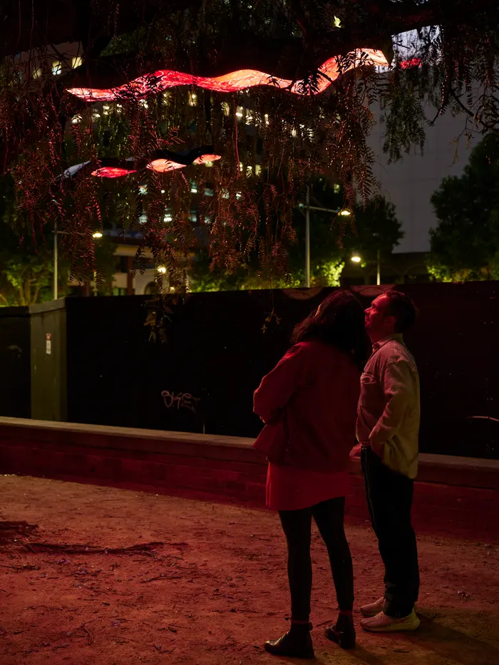 Two visitors look up at glowing LED forms in the tree canopy at night